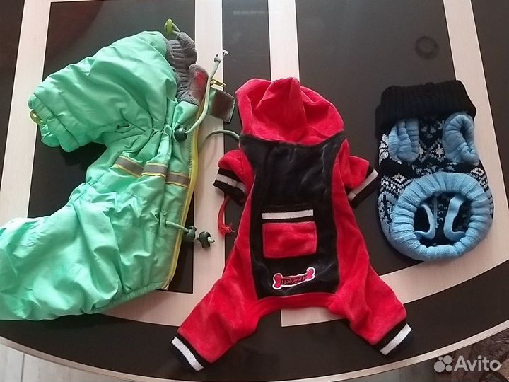 Одежда для животных