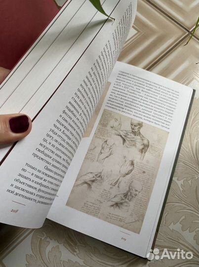 Книга по истории искусств. Дворжак