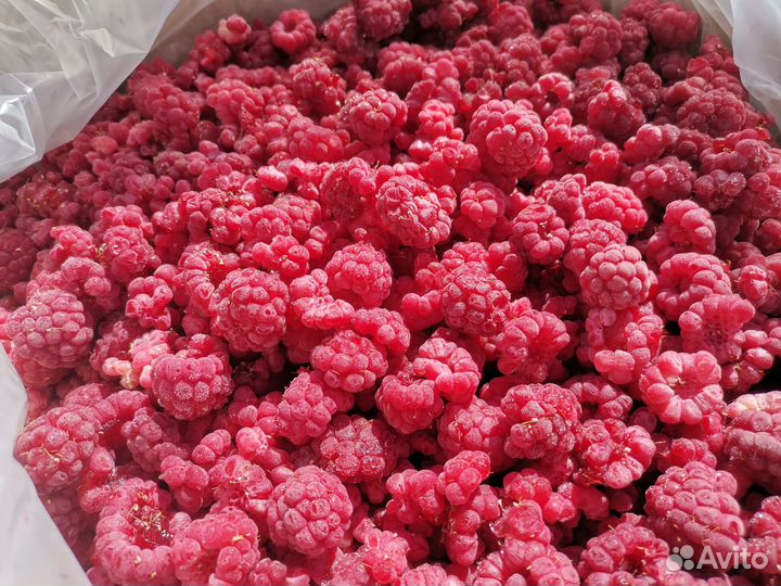 Малина замороженная (Киргизия)