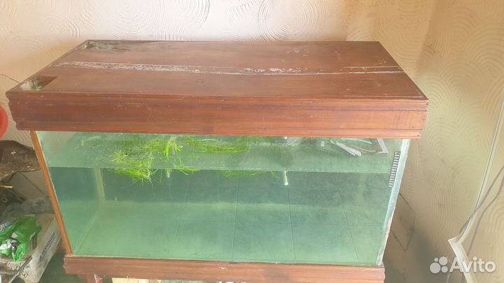 Аквариум 300 литров