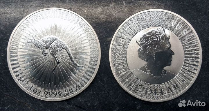 Серебряный Кенгуру, Австралия, 2022/23г, 1oz