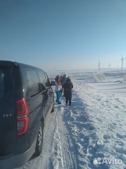 Трансфер из Мурманска в Териберку, микроавтобус