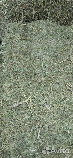 Сено в тюках