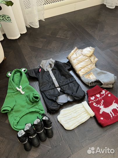 Одежда и обувь на маленькую собачку, разное