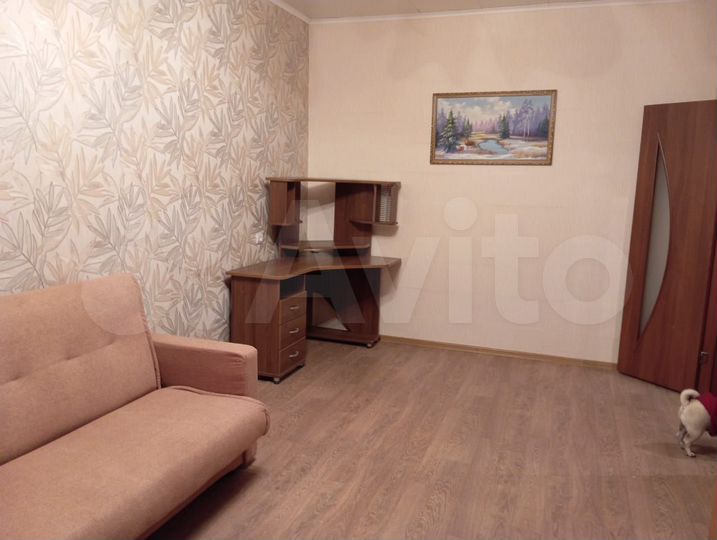 1-к. квартира, 43 м², 1/3 эт.