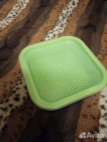 Проращиватель микрозелени