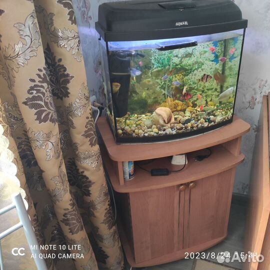Аквариум с рыбками и тумбой