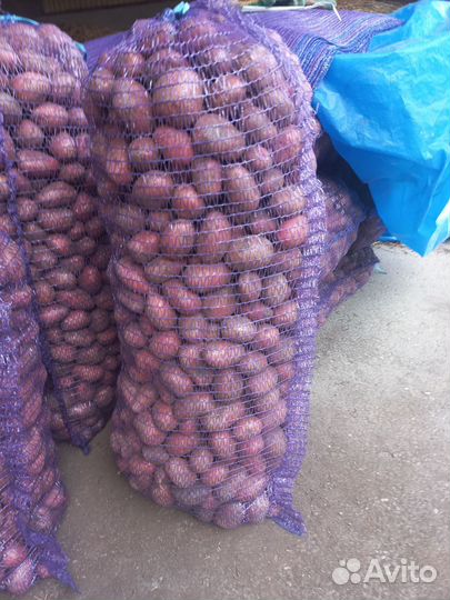 Продукты питания