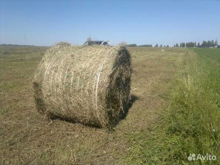 Сено в рулонах 300 - 350кг