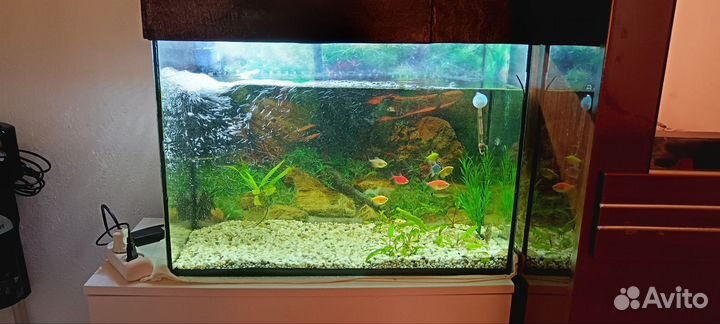 Украшение для аквариума