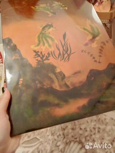 Картина/Поно 