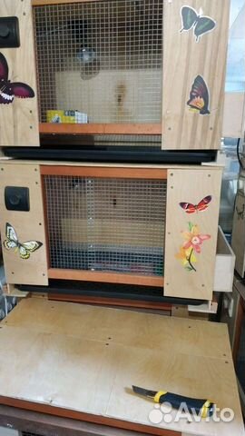 Брудер практичный для цыплят