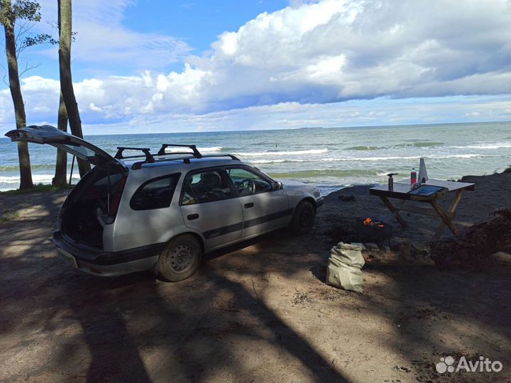 Экскурсии по калининградской области
