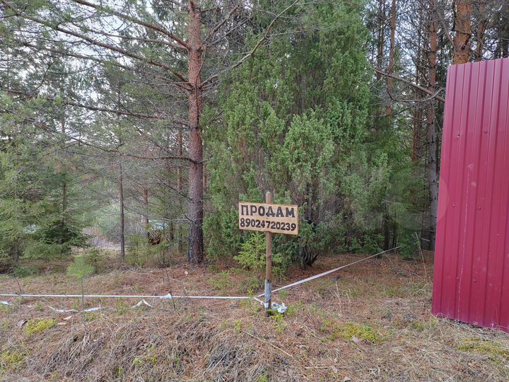 Участок 16,2 сот. (СНТ, ДНП)