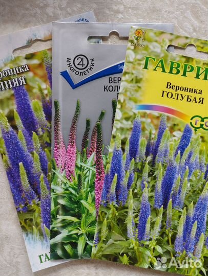 Рассада цветов