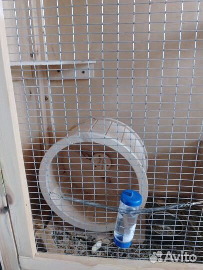 Клетка для шиншиллы