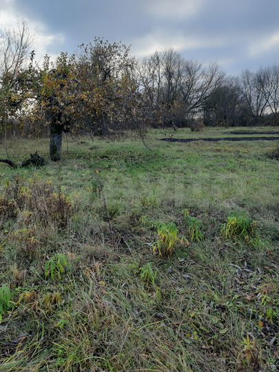 Участок 20 сот. (ИЖС)