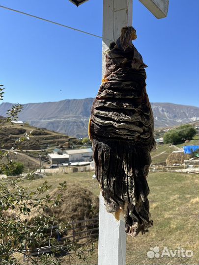 Сушеное мясо халяль