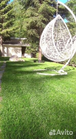 Рулонный газон