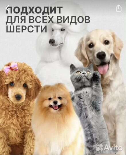 Машинка для стрижки животных