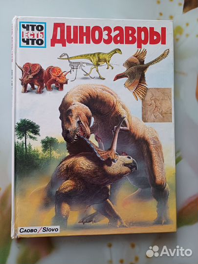 Детская энциклопедия