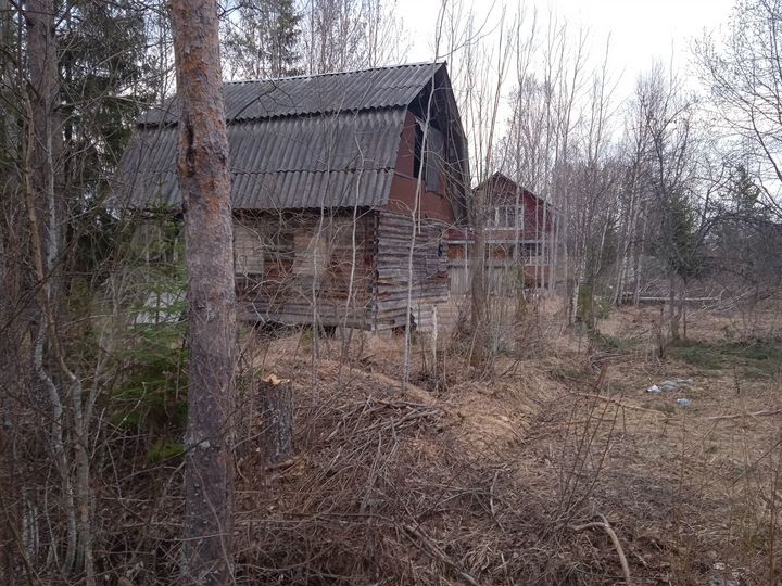 Участок 6 сот. (СНТ, ДНП)