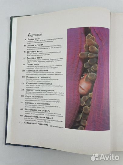 Секреты природы