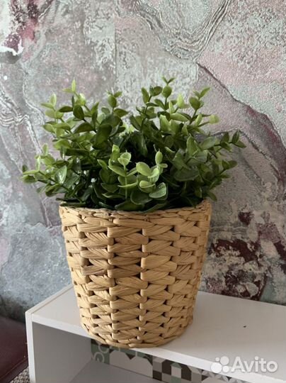 Цветок с горшком IKEA