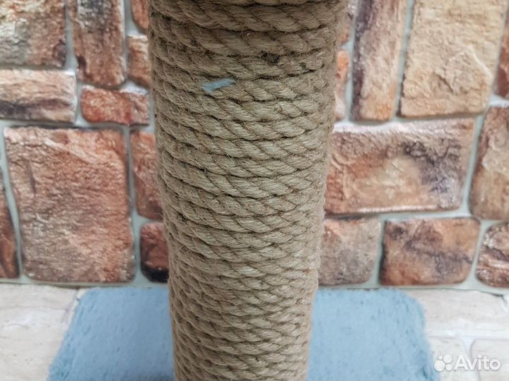 Когтеточка