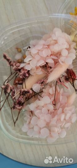 Сухоцветы для творчества