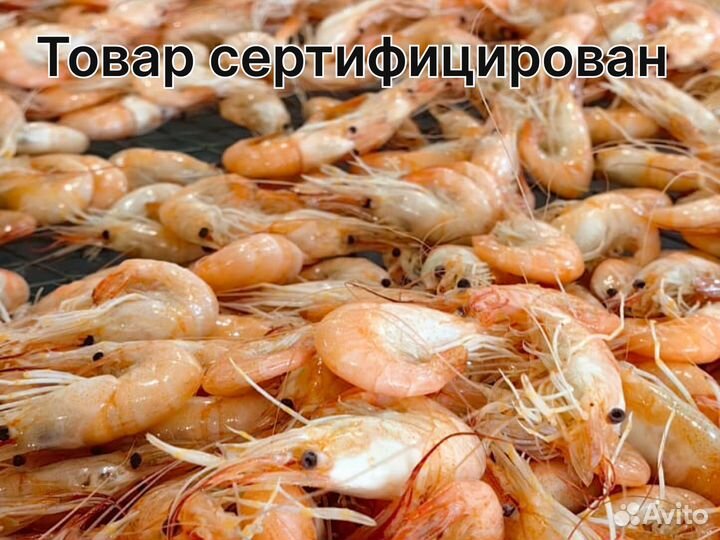 Азовская креветка