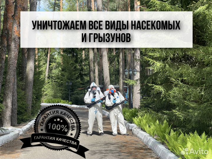 Уничтожение тараканов, клопов, крыс