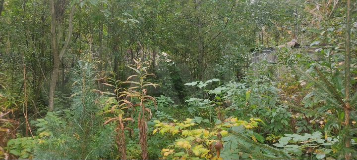 Участок 6,6 сот. (СНТ, ДНП)