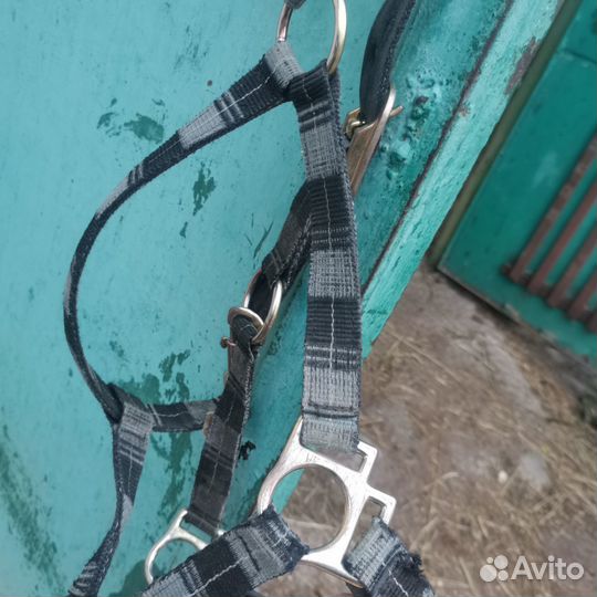 Недоуздок для лошади