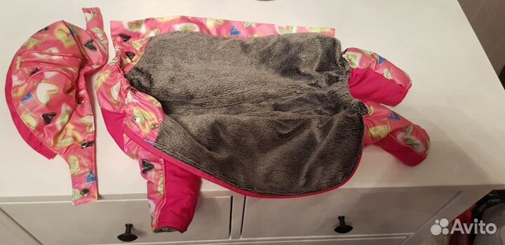 Одежда для собак