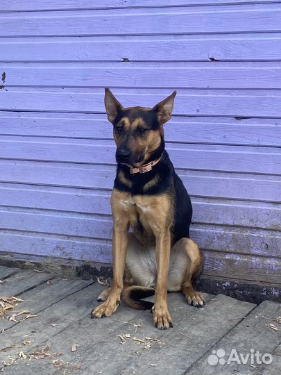 Кай и Герда