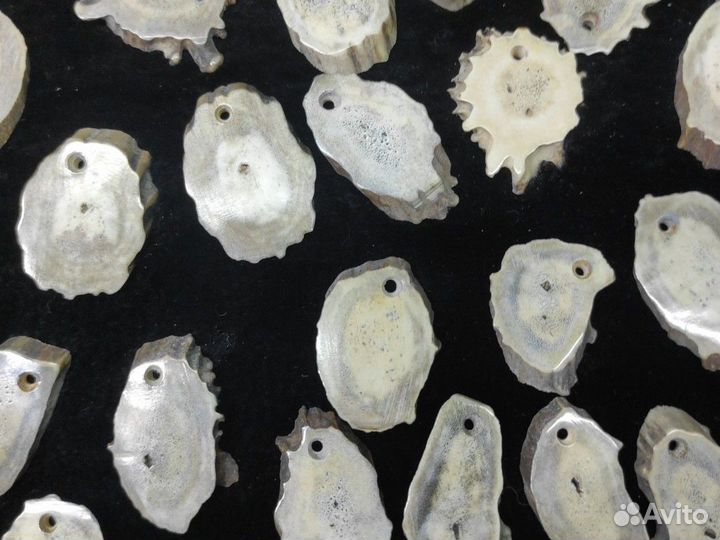 Спилы из рогов