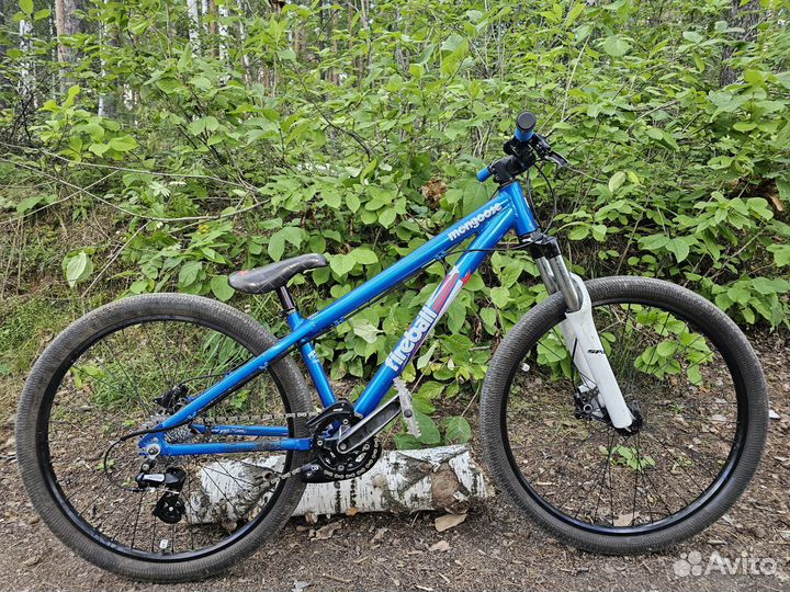 Mongoose fireball 26