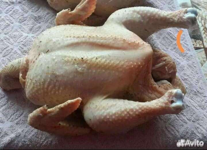 Мясо домашней птицы
