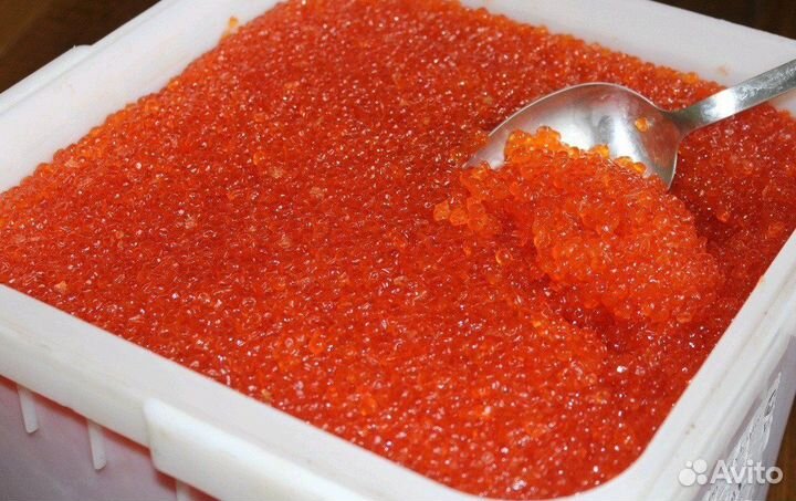 Красная икра форели 100 грамм, 500 грамм, 2 кг