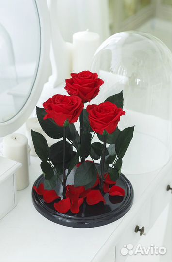 Долговечная Роза в колбе Трио