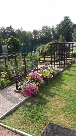 Участок 13,4 сот. (СНТ, ДНП)