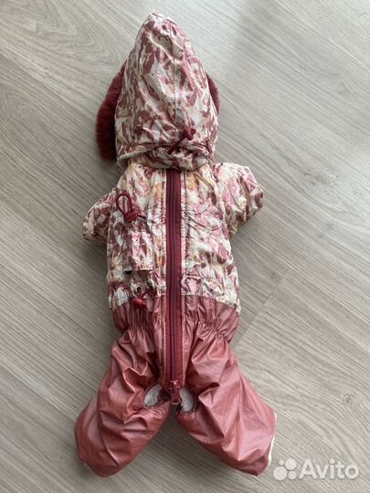 Зимний комбенизон для чихуахуа