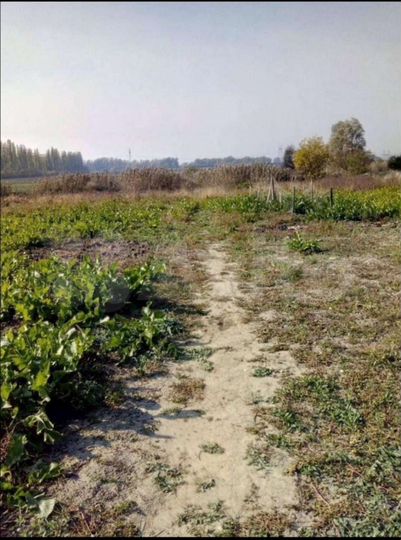 Участок 6 сот. (ИЖС)