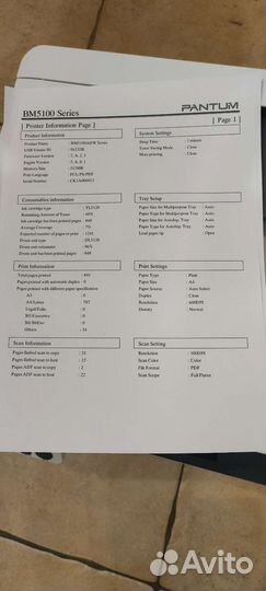 Мфу Pantum BM5100ADW
