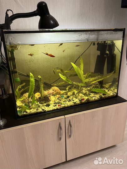 Аквариум
