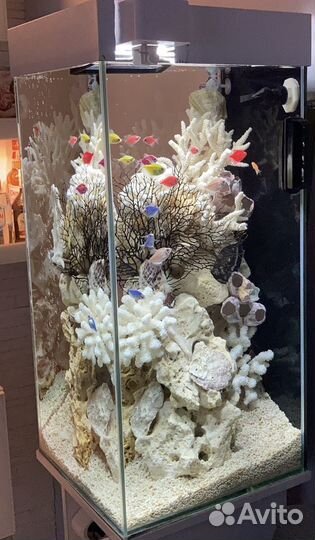 Обслуживание аквариумов