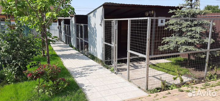 Зоогостиница, отель, платная передержка собак