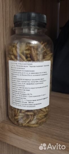 Червь мучной для грызунов