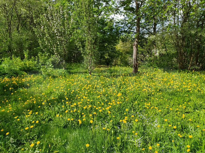 Участок 7,2 сот. (ИЖС)